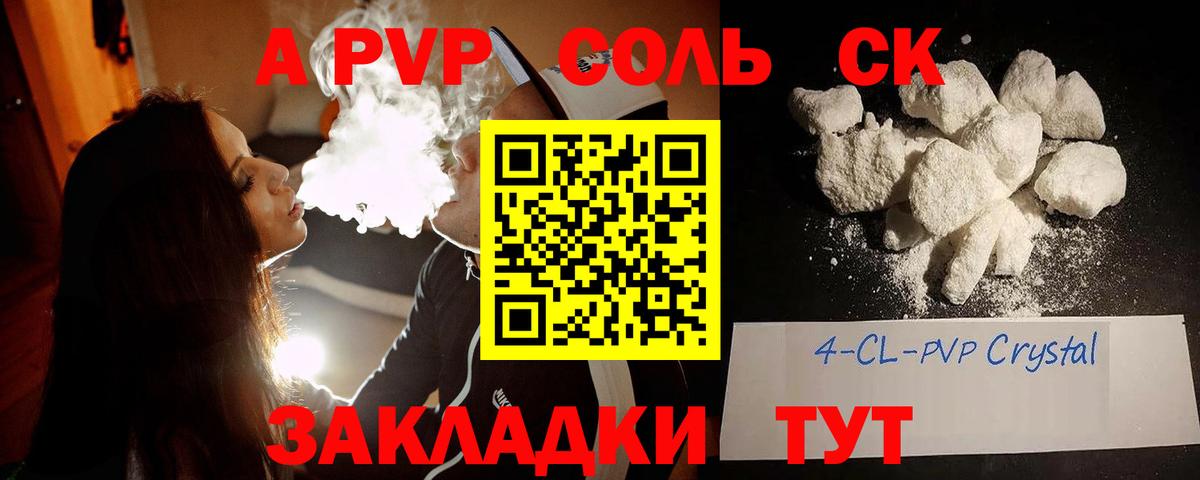 A PVP СК КРИС Владимир