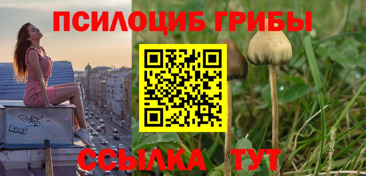 Псилоцибиновые грибы ЛСД Владимир